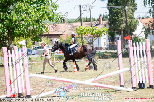 Mintakép 20260801-1773