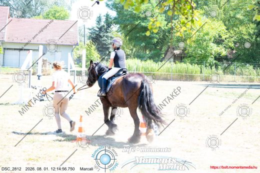 Mintakép 20260801-1780