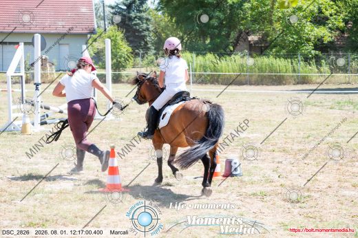 Mintakép 20260801-1793