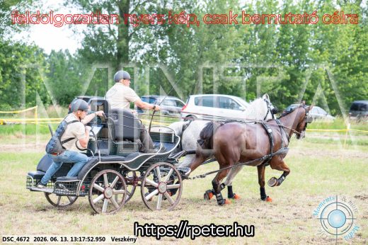 Mintakép 20260613-90
