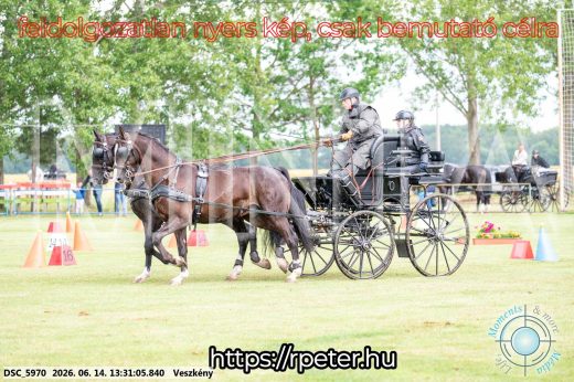 Mintakép 20260614-631