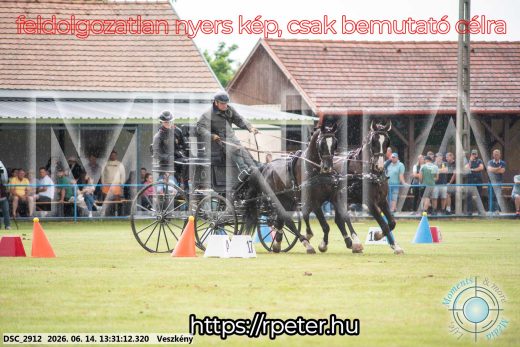Mintakép 20260614-633