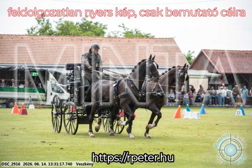 Mintakép 20260614-637