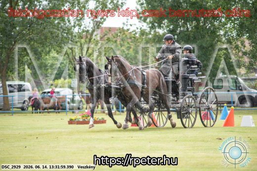 Mintakép 20260614-644