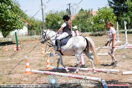 Mintakép 20260801-2087