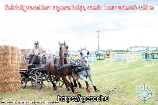 Mintakép 20260613-92