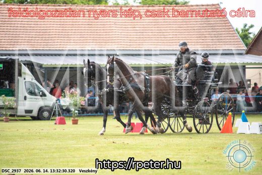 Mintakép 20260614-650