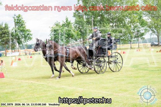 Mintakép 20260614-657