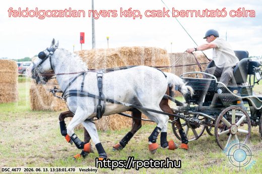Mintakép 20260613-93