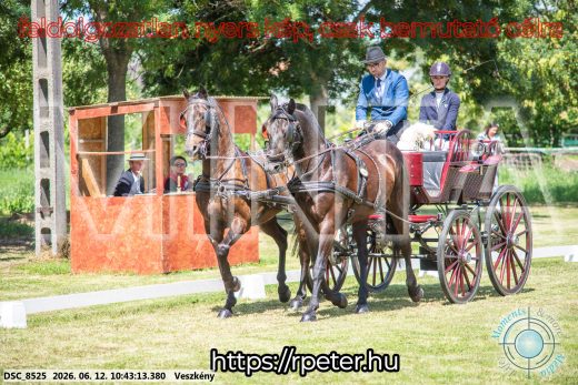 Mintakép 20260612-751