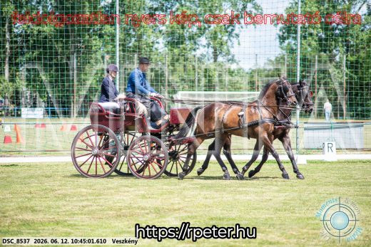 Mintakép 20260612-760