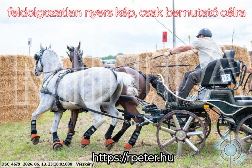Mintakép 20260613-95