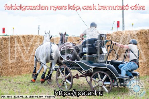 Mintakép 20260613-96