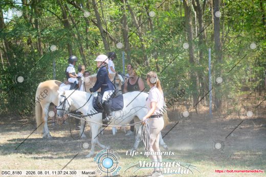 Mintakép 20260801-2520