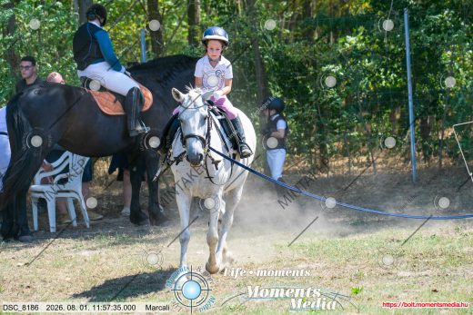 Mintakép 20260801-2521