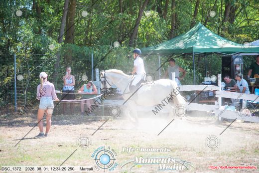 Mintakép 20260801-2544