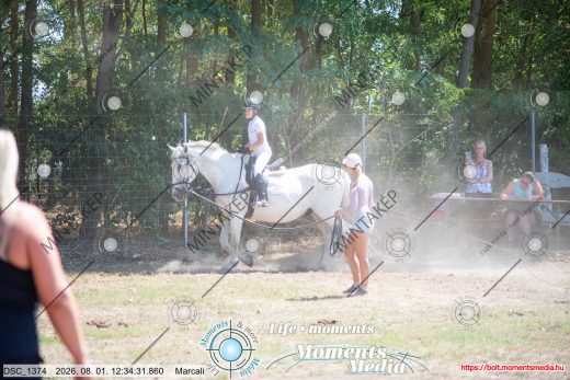 Mintakép 20260801-2545