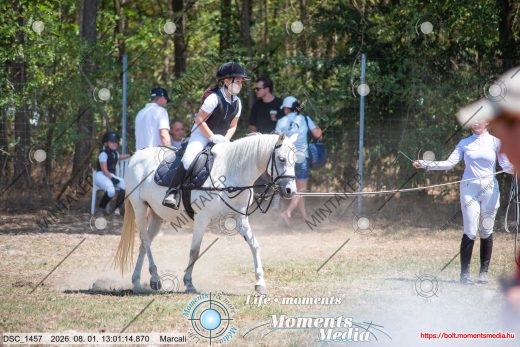 Mintakép 20260801-2589