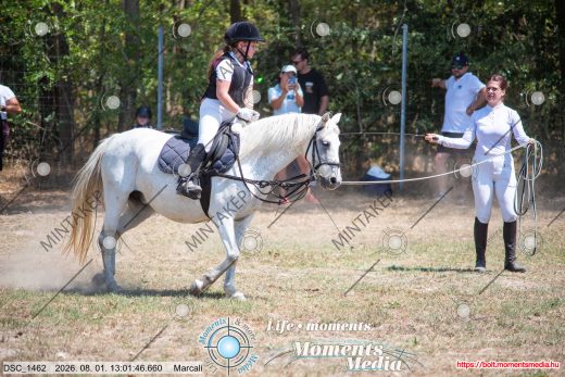 Mintakép 20260801-2591