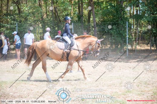 Mintakép 20260801-2602