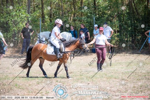 Mintakép 20260801-2609