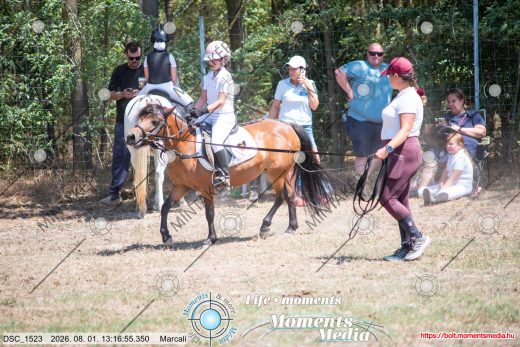 Mintakép 20260801-2615
