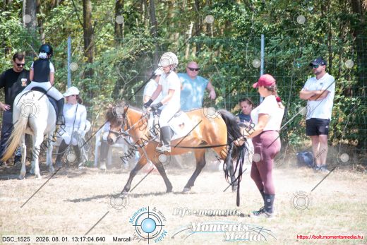 Mintakép 20260801-2617