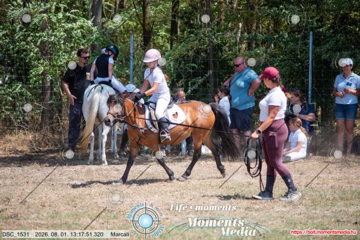 Mintakép 20260801-2620