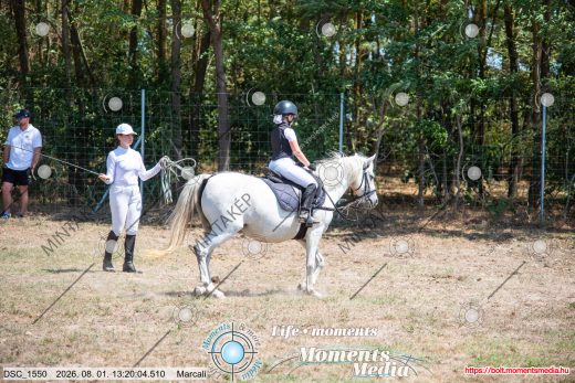 Mintakép 20260801-2626