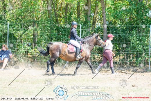 Mintakép 20260801-2661