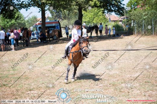 Mintakép 20260801-2671