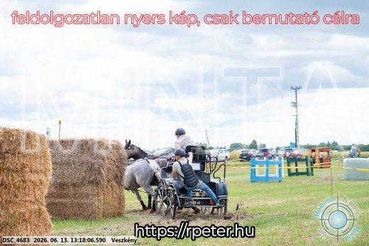Mintakép 20260613-98