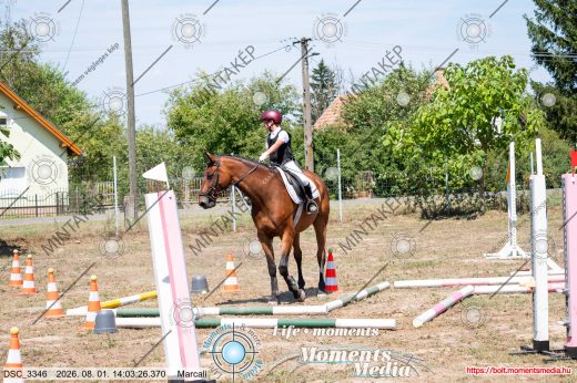 Mintakép 20260801-2763