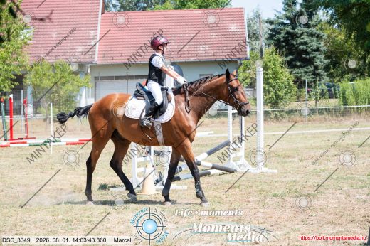 Mintakép 20260801-2766