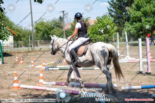 Mintakép 20260801-2792