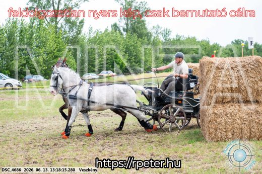 Mintakép 20260613-99