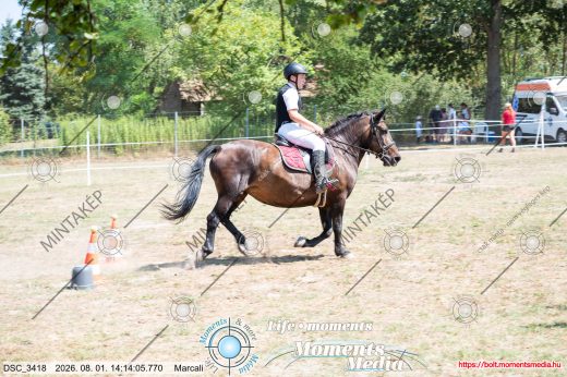 Mintakép 20260801-2819