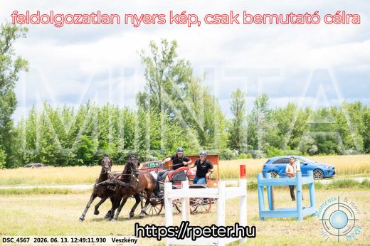 Mintakép 20260613-1417