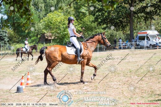 Mintakép 20260801-2833
