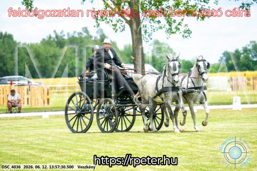 Mintakép 20260612-798