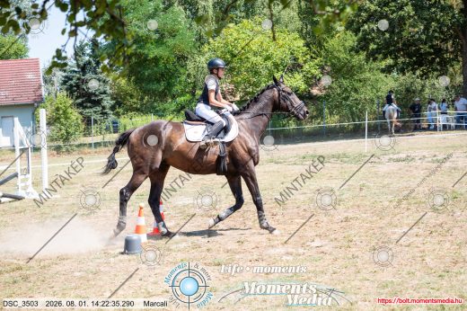 Mintakép 20260801-2882