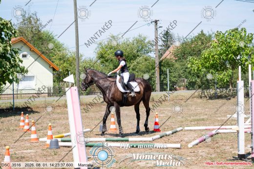 Mintakép 20260801-2890