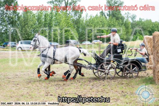 Mintakép 20260613-100
