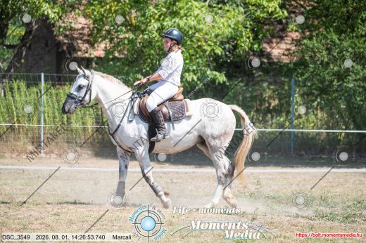 Mintakép 20260801-2906