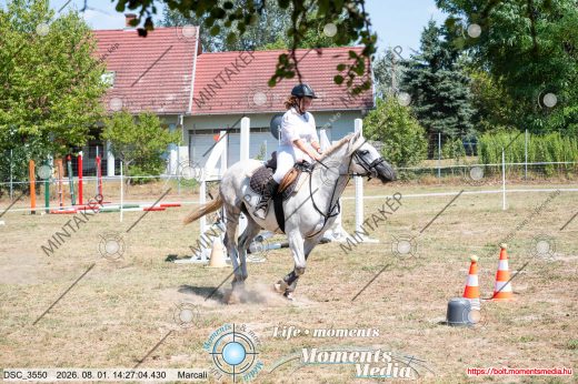 Mintakép 20260801-2907