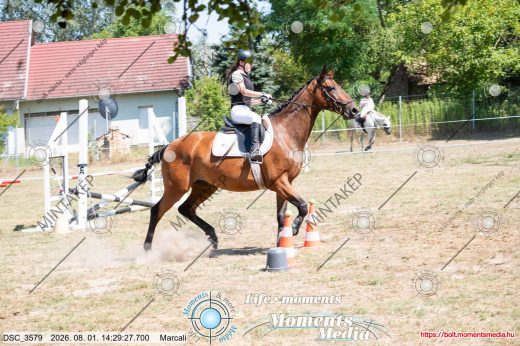 Mintakép 20260801-2925