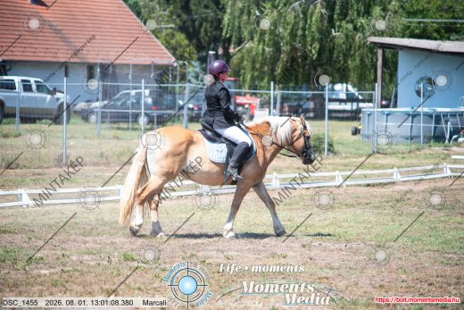 Mintakép 20260801-3010