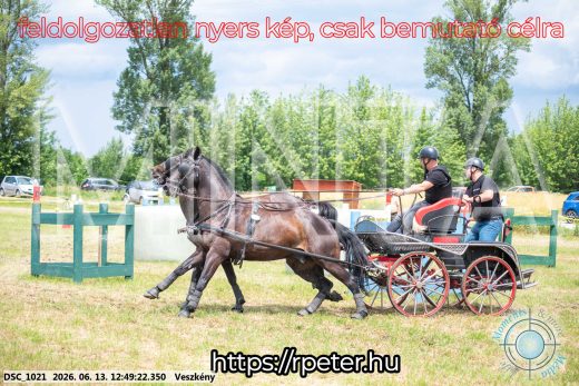 Mintakép 20260613-1427