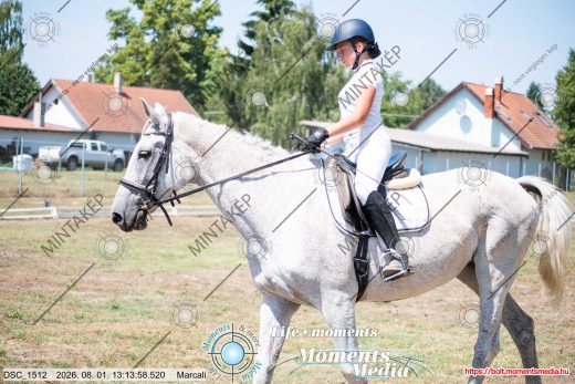 Mintakép 20260801-3031
