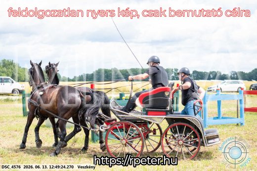 Mintakép 20260613-1428